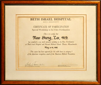 試管嬰兒工作營(at以色列醫院與哈佛大學)