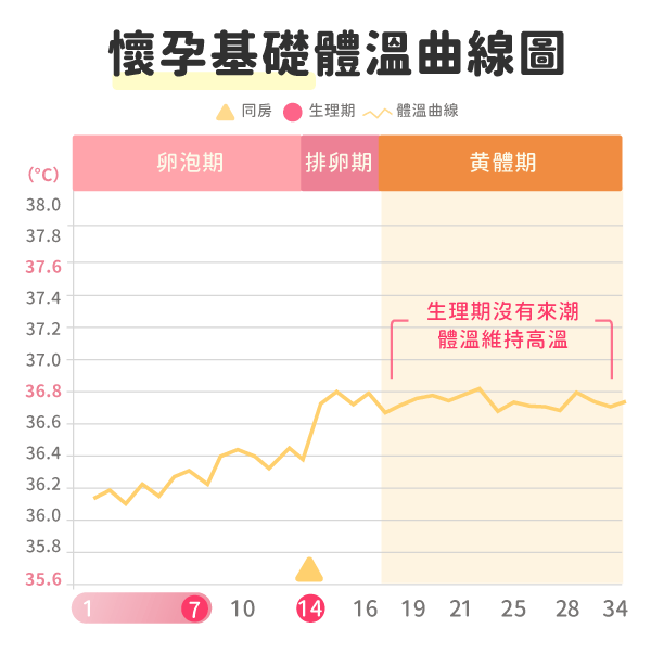 懷孕基礎體溫曲線圖(繁)