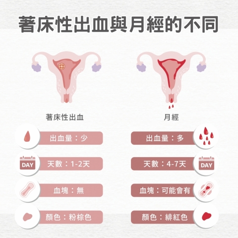 分辨月經和懷孕初期出血