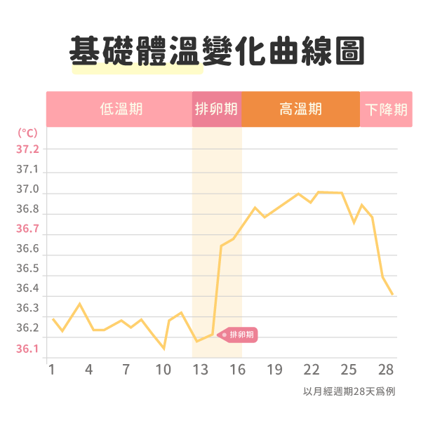基礎體溫圖 基礎體溫圖